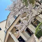 ヒメ日記 2025/04/08 17:32 投稿 渚/なぎ　centu STYLISH BACH