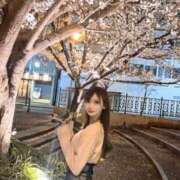 ヒメ日記 2025/04/13 08:32 投稿 渚/なぎ　centu STYLISH BACH