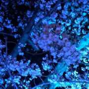 ヒメ日記 2025/06/02 20:58 投稿 渚/なぎ　centu STYLISH BACH