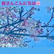 ヒメ日記 2024/04/04 13:07 投稿 ひな【FG系列】 アロマdeフィーリングin横浜（FG系列）