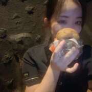 ヒメ日記 2024/12/22 15:08 投稿 ひな【FG系列】 アロマdeフィーリングin横浜（FG系列）