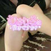 ヒメ日記 2025/12/13 09:40 投稿 ひな【FG系列】 アロマdeフィーリングin横浜（FG系列）