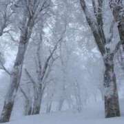 ヒメ日記 2026/01/28 20:02 投稿 かりん THE ESUTE 渋谷