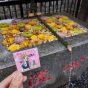 ヒメ日記 2026/09/19 20:19 投稿 かりん THE ESUTE 渋谷