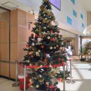 ヒメ日記 2024/12/25 20:35 投稿 みず しろわい 仙台店