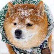 ヒメ日記 2025/02/16 21:34 投稿 みず しろわい 仙台店