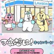 ヒメ日記 2025/04/17 18:34 投稿 みず しろわい 仙台店