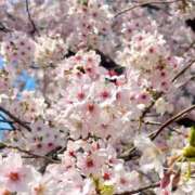 みず おわりー しろわい 仙台店