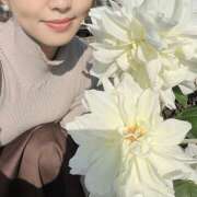 ヒメ日記 2025/03/22 10:15 投稿 あかり 新橋フェアリーズ