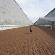 ヒメ日記 2025/06/23 19:40 投稿 あかり 新橋フェアリーズ