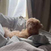 ヒメ日記 2025/10/02 18:58 投稿 あかり 新橋フェアリーズ