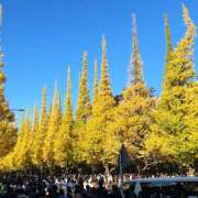 ヒメ日記 2025/10/11 12:34 投稿 あかり 新橋フェアリーズ