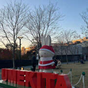 ヒメ日記 2025/11/30 08:17 投稿 あかり 新橋フェアリーズ