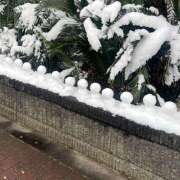 ヒメ日記 2026/02/09 09:55 投稿 あかり 新橋フェアリーズ