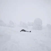 ヒメ日記 2026/02/22 10:30 投稿 あかり 新橋フェアリーズ