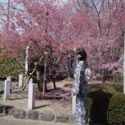 ヒメ日記 2026/03/23 17:41 投稿 あかり 新橋フェアリーズ