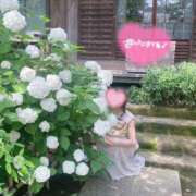 ヒメ日記 2025/01/05 06:51 投稿 山口 萌 プルプルオフィスディーバ