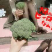 ヒメ日記 2025/01/17 07:28 投稿 山口 萌 プルプルオフィスディーバ