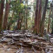 ヒメ日記 2025/02/06 10:00 投稿 山口 萌 プルプルオフィスディーバ