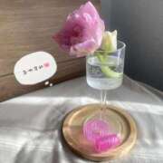 ヒメ日記 2025/02/10 09:25 投稿 山口 萌 プルプルオフィスディーバ