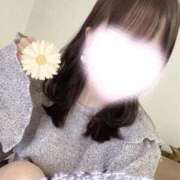 ヒメ日記 2025/03/13 09:52 投稿 山口 萌 プルプルオフィスディーバ