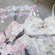 ヒメ日記 2025/03/14 10:25 投稿 山口 萌 プルプルオフィスディーバ