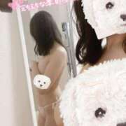 ヒメ日記 2025/04/03 16:55 投稿 山口 萌 プルプルオフィスディーバ