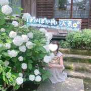 ヒメ日記 2025/04/17 17:49 投稿 山口 萌 プルプルオフィスディーバ