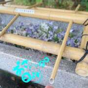 ヒメ日記 2025/04/20 08:41 投稿 山口 萌 プルプルオフィスディーバ