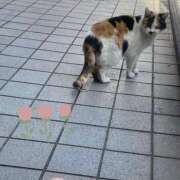 ヒメ日記 2025/04/26 09:57 投稿 山口 萌 プルプルオフィスディーバ