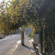 ヒメ日記 2025/05/21 09:09 投稿 山口 萌 プルプルオフィスディーバ