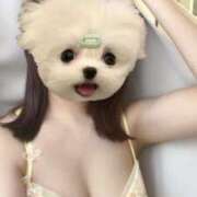 ヒメ日記 2025/05/27 18:36 投稿 山口 萌 プルプルオフィスディーバ