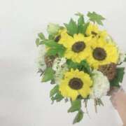 ヒメ日記 2025/06/09 16:30 投稿 山口 萌 プルプルオフィスディーバ