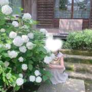 ヒメ日記 2025/06/24 08:03 投稿 山口 萌 プルプルオフィスディーバ