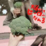 ヒメ日記 2025/06/26 17:48 投稿 山口 萌 プルプルオフィスディーバ