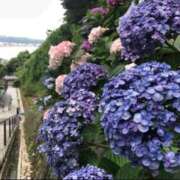 ヒメ日記 2025/06/27 09:55 投稿 山口 萌 プルプルオフィスディーバ