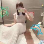 ヒメ日記 2025/07/24 16:40 投稿 山口 萌 プルプルオフィスディーバ