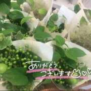 ヒメ日記 2025/07/30 17:24 投稿 山口 萌 プルプルオフィスディーバ