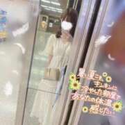 ヒメ日記 2025/08/19 14:21 投稿 山口 萌 プルプルオフィスディーバ