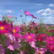 ヒメ日記 2025/09/23 17:39 投稿 山口 萌 プルプルオフィスディーバ