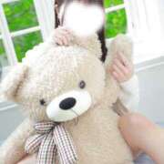 ヒメ日記 2025/11/15 09:47 投稿 山口 萌 プルプルオフィスディーバ