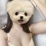 ヒメ日記 2025/12/12 07:19 投稿 山口 萌 プルプルオフィスディーバ