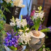 ヒメ日記 2026/01/03 08:34 投稿 山口 萌 プルプルオフィスディーバ