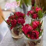 ヒメ日記 2026/01/15 08:02 投稿 山口 萌 プルプルオフィスディーバ