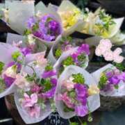 ヒメ日記 2026/01/16 15:02 投稿 山口 萌 プルプルオフィスディーバ