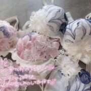 ヒメ日記 2026/01/24 09:35 投稿 山口 萌 プルプルオフィスディーバ