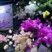 ヒメ日記 2026/01/24 16:27 投稿 山口 萌 プルプルオフィスディーバ