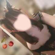 ヒメ日記 2026/01/31 08:15 投稿 山口 萌 プルプルオフィスディーバ