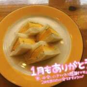 ヒメ日記 2026/02/01 19:49 投稿 山口 萌 プルプルオフィスディーバ