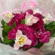 ヒメ日記 2026/02/20 12:32 投稿 山口 萌 プルプルオフィスディーバ